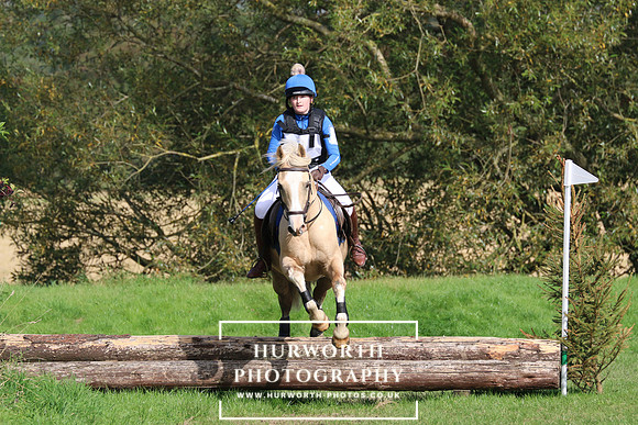 Hurworth Hunter Trial 393