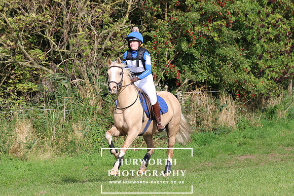 Hurworth Hunter Trial 397
