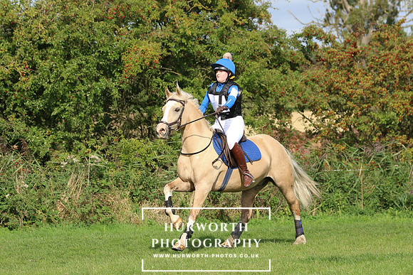 Hurworth Hunter Trial 399