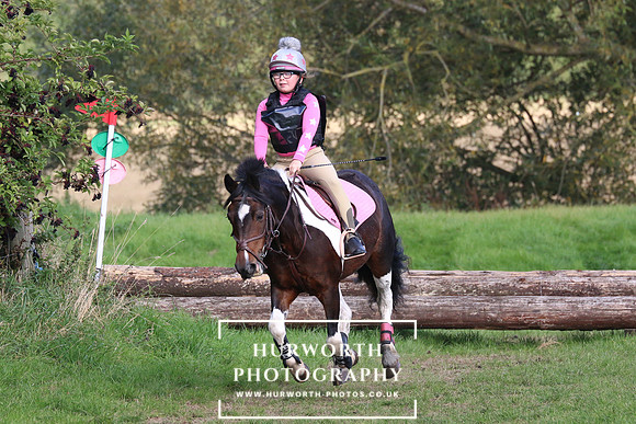 Hurworth Hunter Trial 410