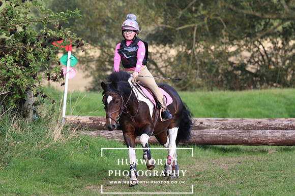 Hurworth Hunter Trial 411
