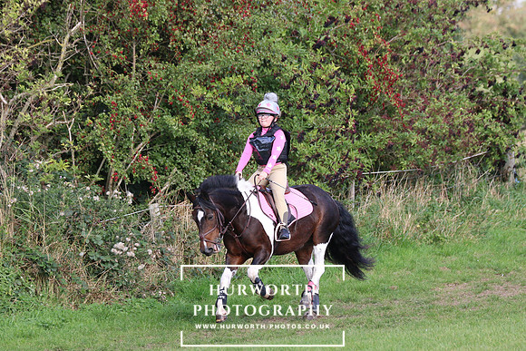 Hurworth Hunter Trial 413