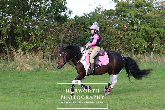 Hurworth Hunter Trial 419