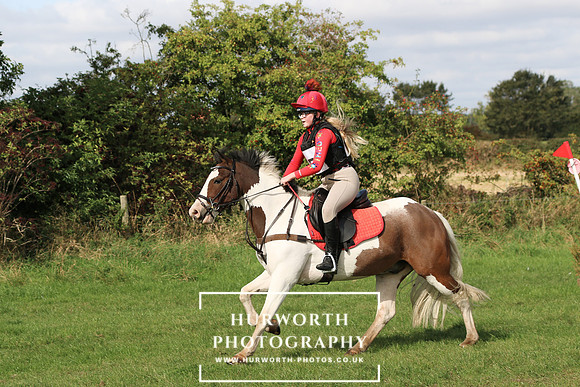Hurworth Hunter Trial 431