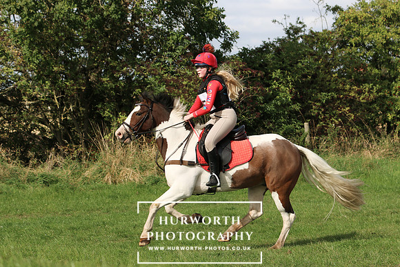 Hurworth Hunter Trial 433