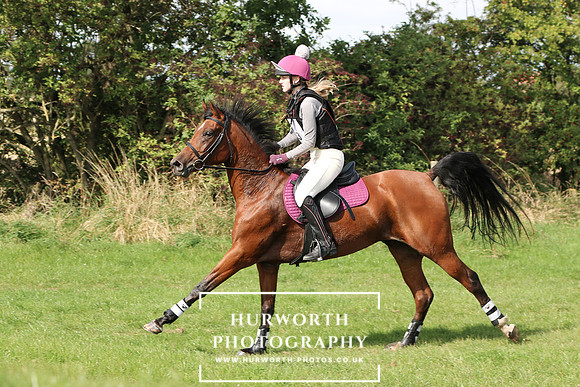 Hurworth Hunter Trial 503