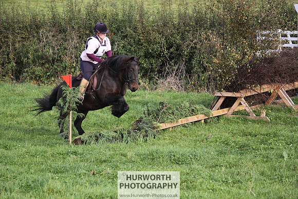 Hurworth Bilsdale Hedge Hop 027