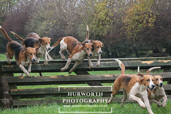 Hurworth Hunt  134