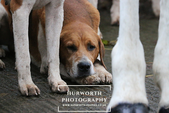 Hurworth Hunt  93