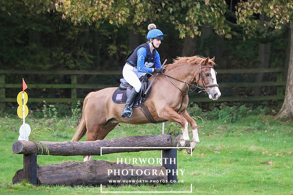 Bedale Hunter Trial 201