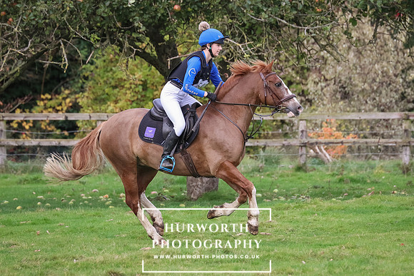 Bedale Hunter Trial 206