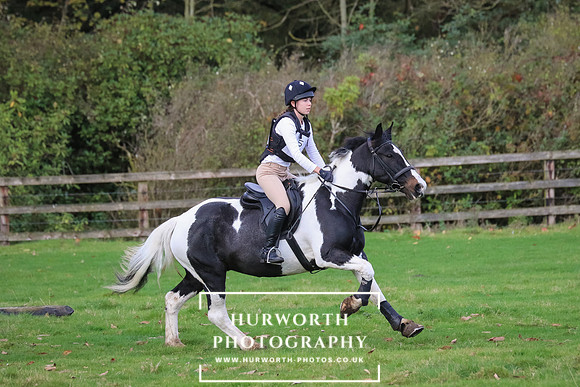 Bedale Hunter Trial 272