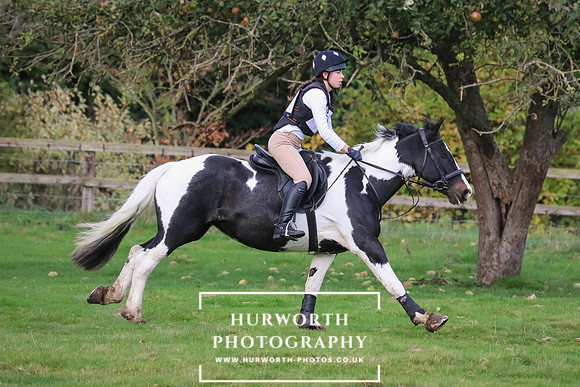 Bedale Hunter Trial 273