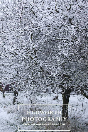 Christmas Card 2