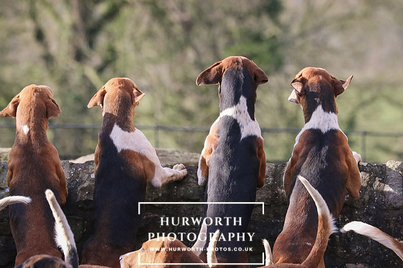 cover - back Hurworth Hunt 14