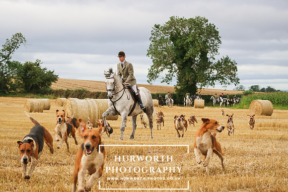 Hurworth Hunt -292
