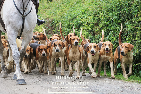 Hurworth Hunt -364
