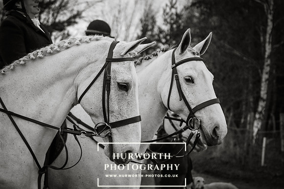 Hurworth Hunt 65