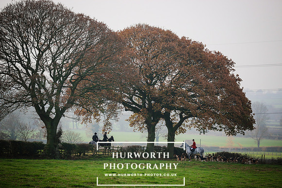 Hurworth Hunt 074
