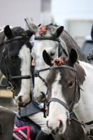 Hurworth Hunt 090