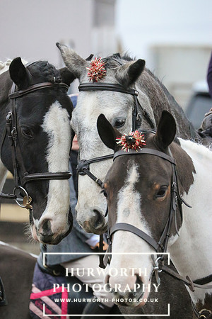 Hurworth Hunt 090