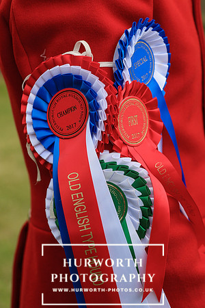 Festival of Hunting 152