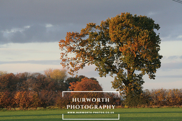 Hurworth 198