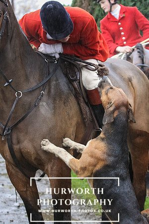 Hurworth Hunt 018