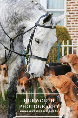 Hurworth Hunt 052