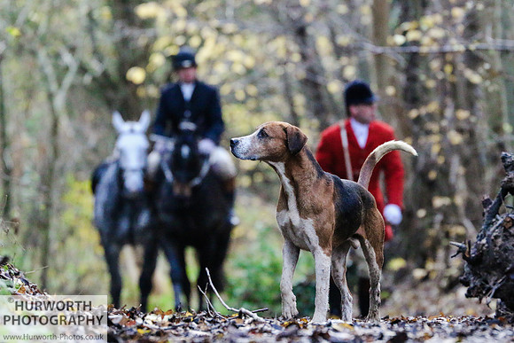 Hurworth Hunt 66