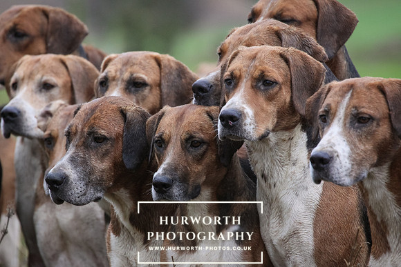 Hurworth Hunt 161
