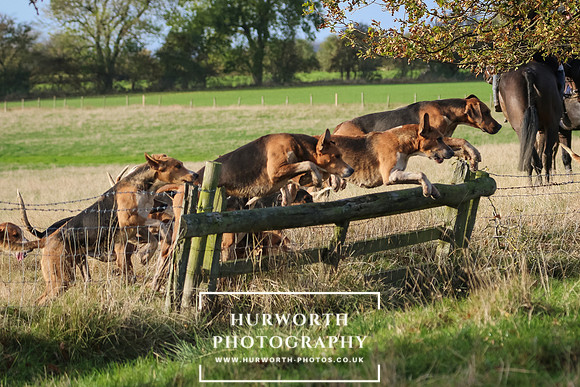 Hurworth Hunt 422