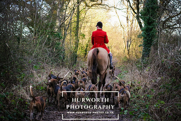 Hurworth Hunt 579