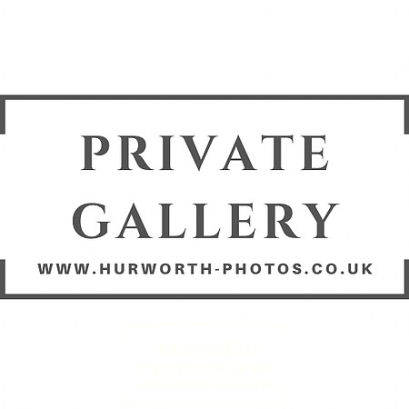 Private Gallery