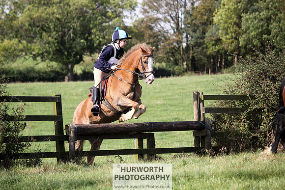 Hurworth Bilsdale Hedge Hop 324