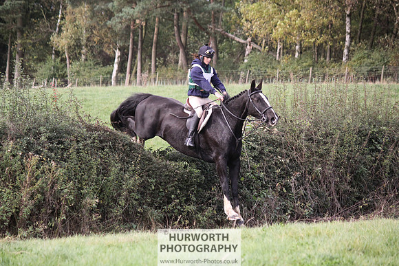 Hurworth Bilsdale Hedge Hop 634