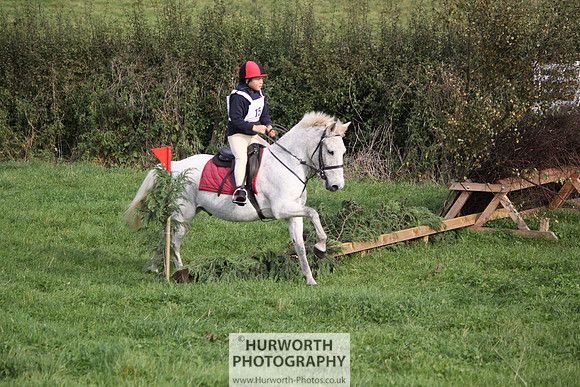Hurworth Bilsdale Hedge Hop 031