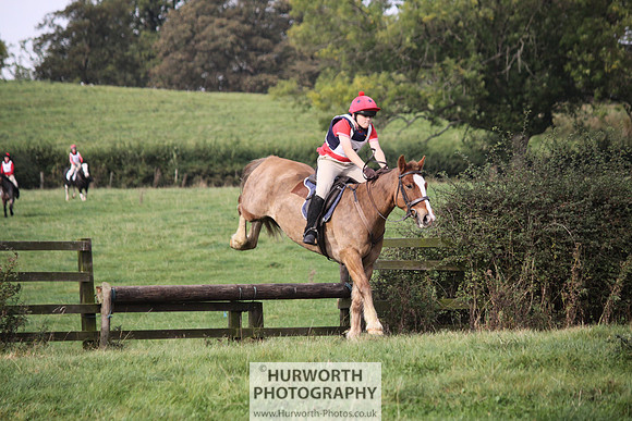 Hurworth Bilsdale Hedge Hop 102