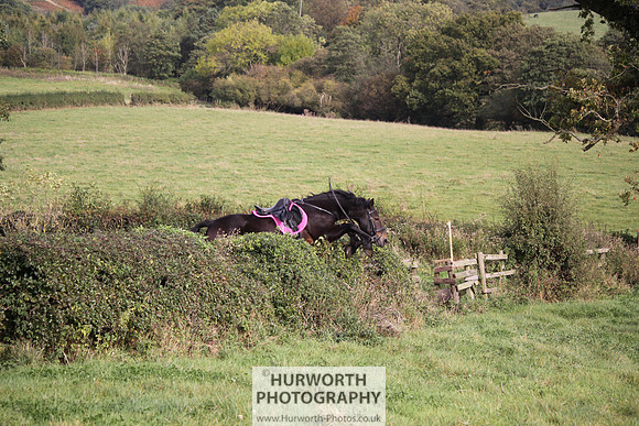 Hurworth Bilsdale Hedge Hop 663