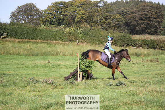 Hurworth Bilsdale Hedge Hop 334