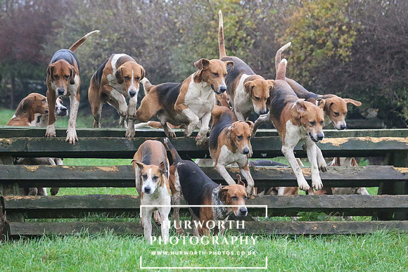 Hurworth Hunt  119