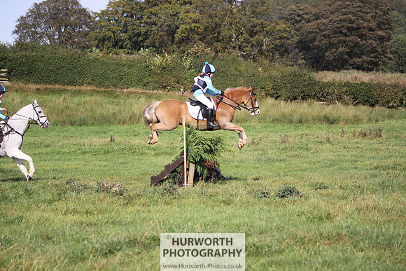 Hurworth Bilsdale Hedge Hop 337