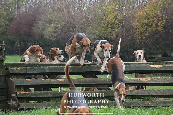 Hurworth Hunt  124