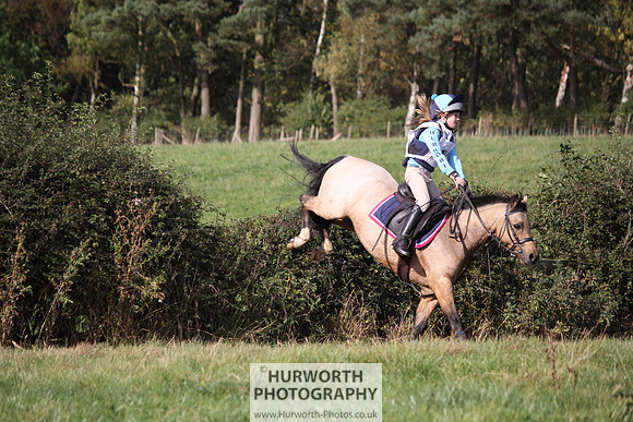 Hurworth Bilsdale Hedge Hop 316