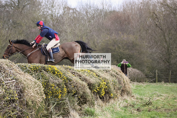 Hurworth Hunt Hedge Hop 091