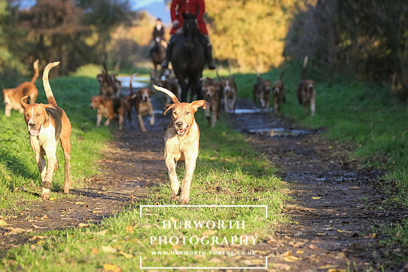 Hurworth Hunt  225