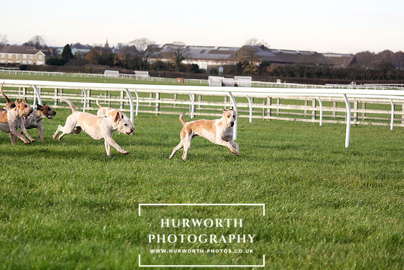 Countryside Raceday 132