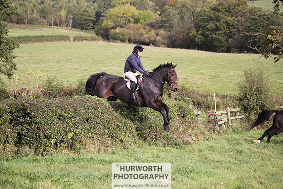 Hurworth Bilsdale Hedge Hop 667
