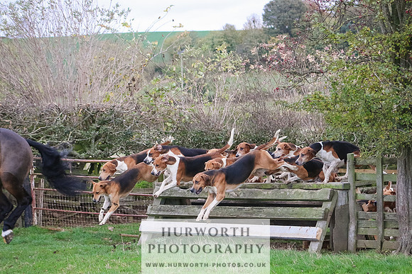 Hurworth Hunt 115