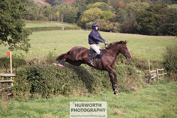 Hurworth Bilsdale Hedge Hop 654